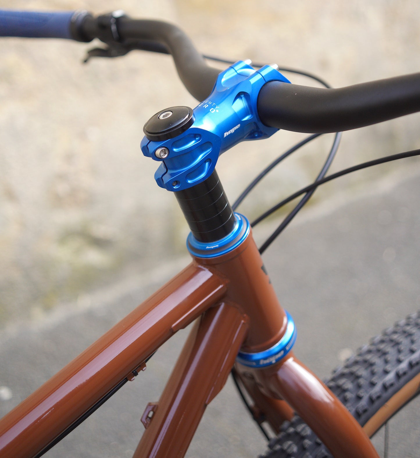 Brother Cycles Big Bro Woodland Brown