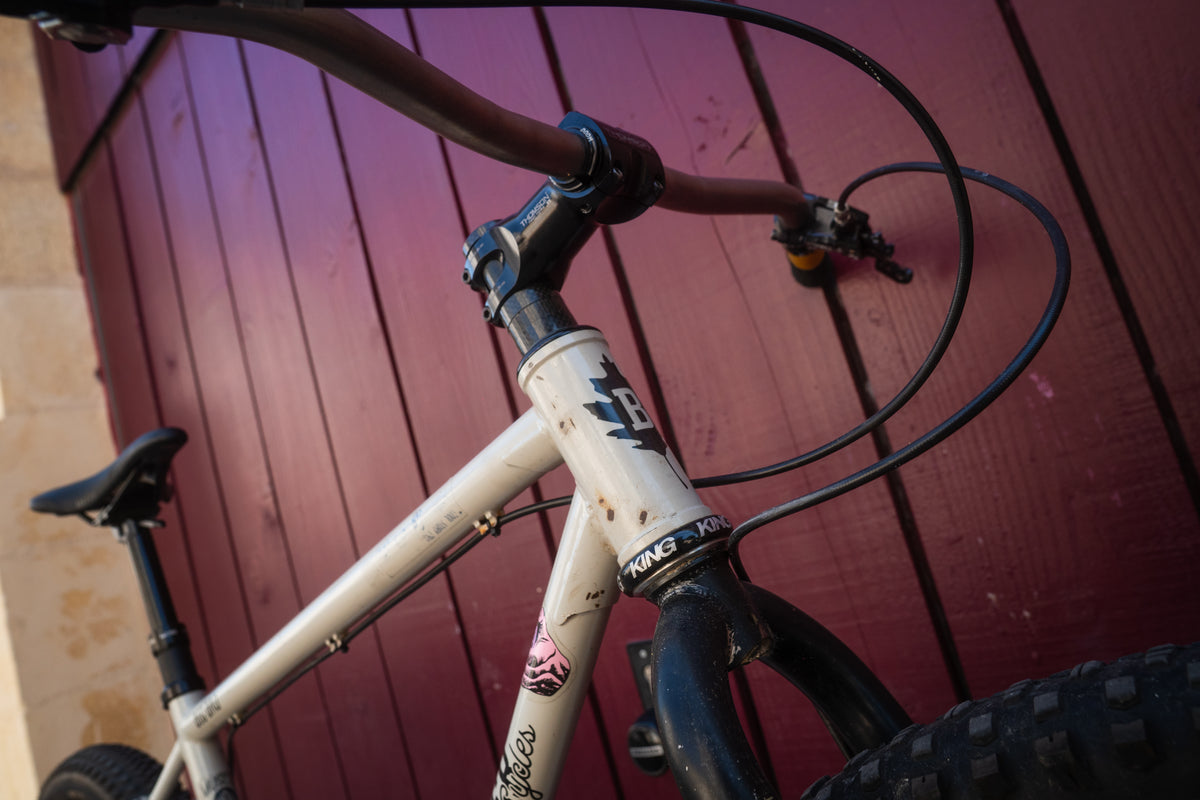 Le Brother Big Bro singlespeed de Rob
