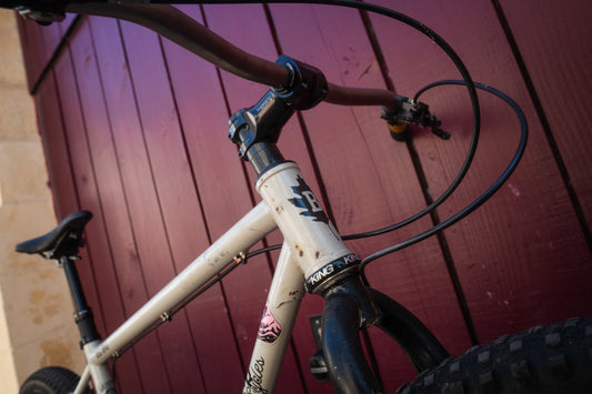 Le Brother Big Bro singlespeed de Rob