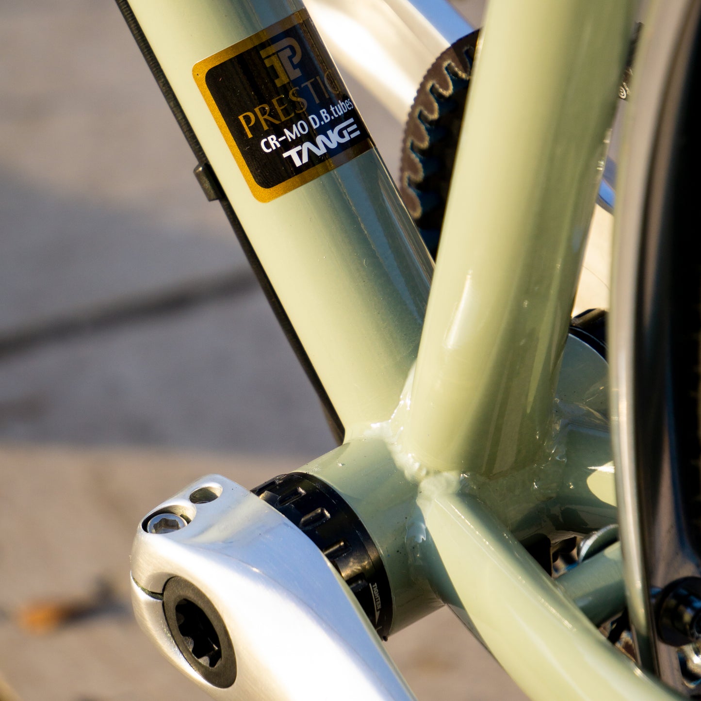 Soma Wolverine Pastel Party Rohloff