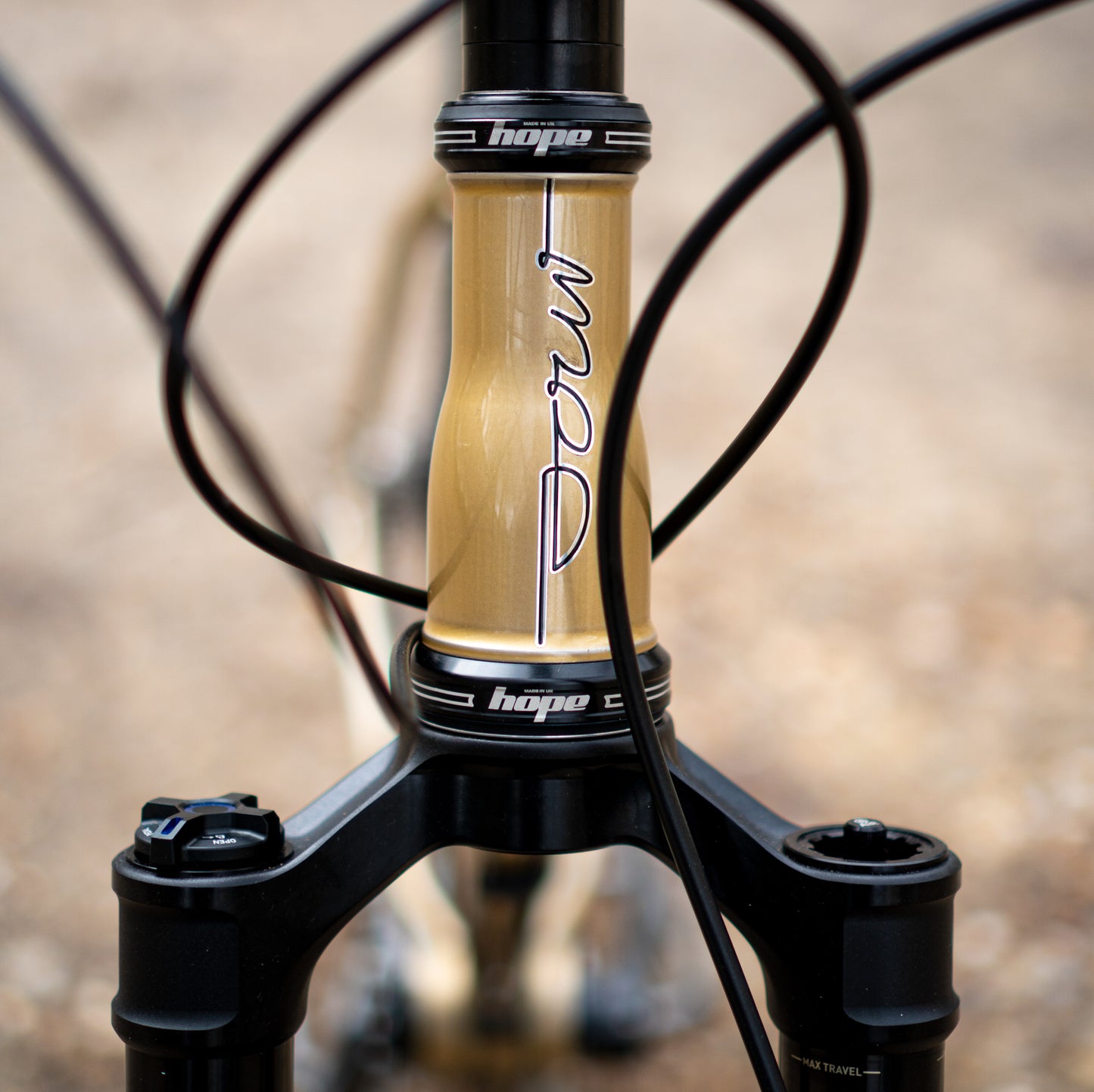 Sour Pasta Party Bolognaise