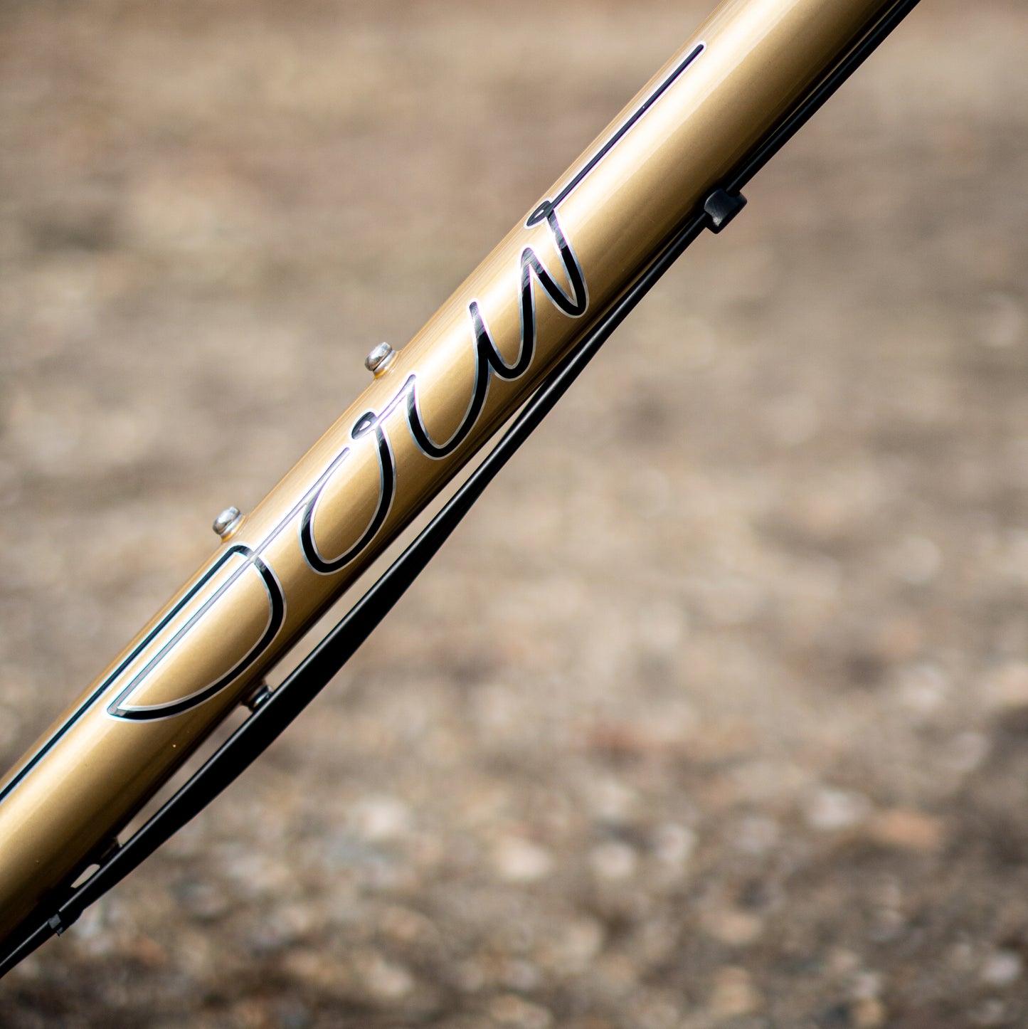 Sour Pasta Party Bolognaise