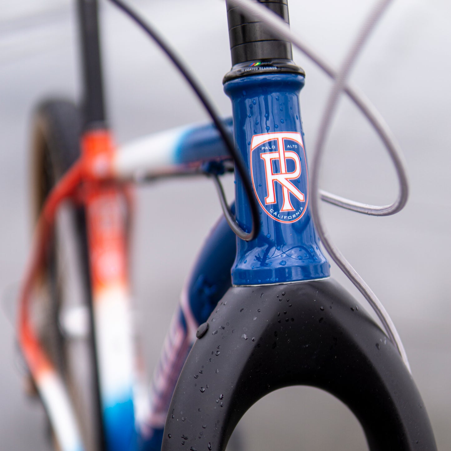 Ritchey Ultra 50th Anniversary